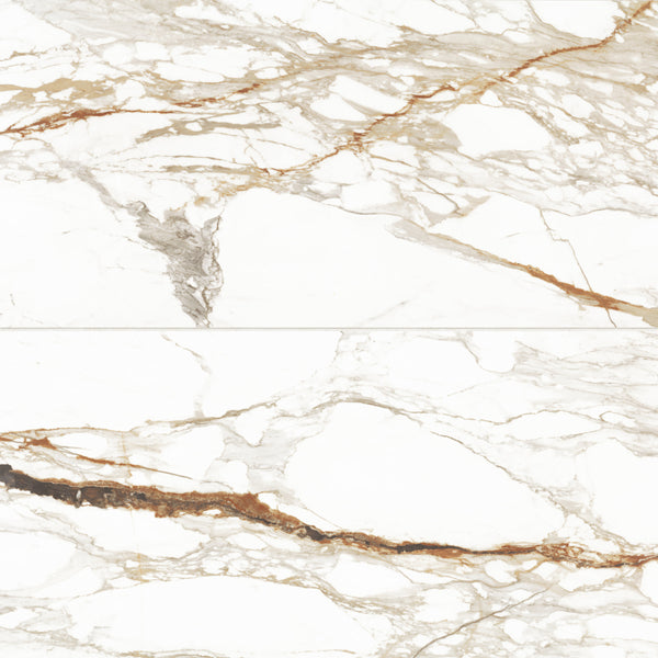 Bedrosians Prati 24" x 48" Honed Porcelain Field Tile in Calacatta Macchia Vecchia | Item Code 100003491