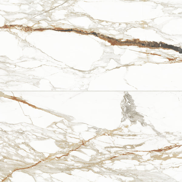 Bedrosians Prati 24" x 48" Polished Porcelain Field Tile in Calacatta Macchia Vecchia | Item Code 100003504
