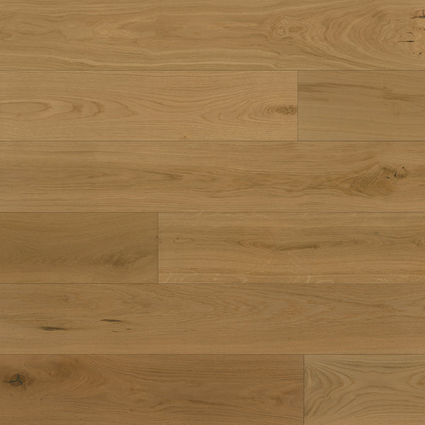 Bedrosians Newport 7.5" x 75" Engineered Hardwood Plank in Dune | Item Code 100005133