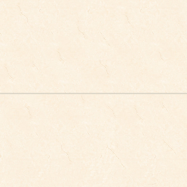 Bedrosians Shandar 24" x 48" Polished Porcelain Field Tile in Crema Marfil | Item Code 100005451