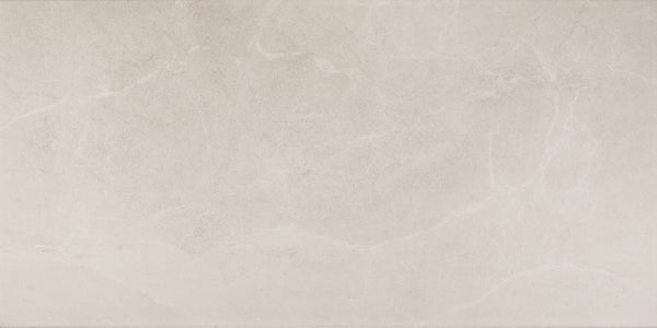 Daltile Advantage Portrait White, Rectangle, 12X24, Matte | Daltile SKU AQ011224J1PV