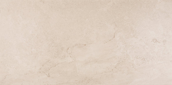 Daltile Advantage Mural Taupe, Rectangle, 12X24, Matte | Daltile SKU AQ021224J1PV