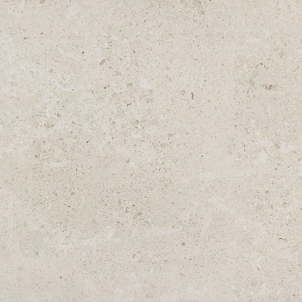 Daltile Dignitary Luminary White, Square, 24X24, Matte | Daltile SKU DR0724241PK