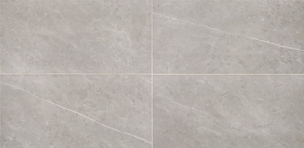 Daltile Prime Stamina Grey, Rectangle, 12X24, Matte | Daltile SKU RL231224J1PV