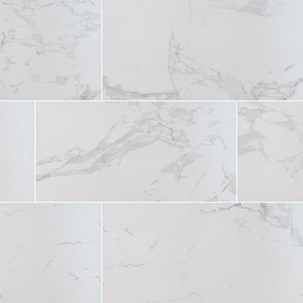 PRAIA CARRARA 24X48 MATTE