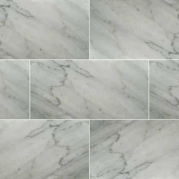 CARRARA WHITE 12" X 24" X 0.38" HONED