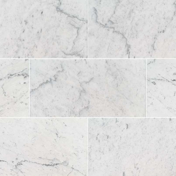 CARRARA WHITE 12"X24"X0.38" POLISHED
