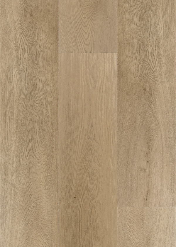 Daltile Asher Bend Hearth 9x71 glue down plank