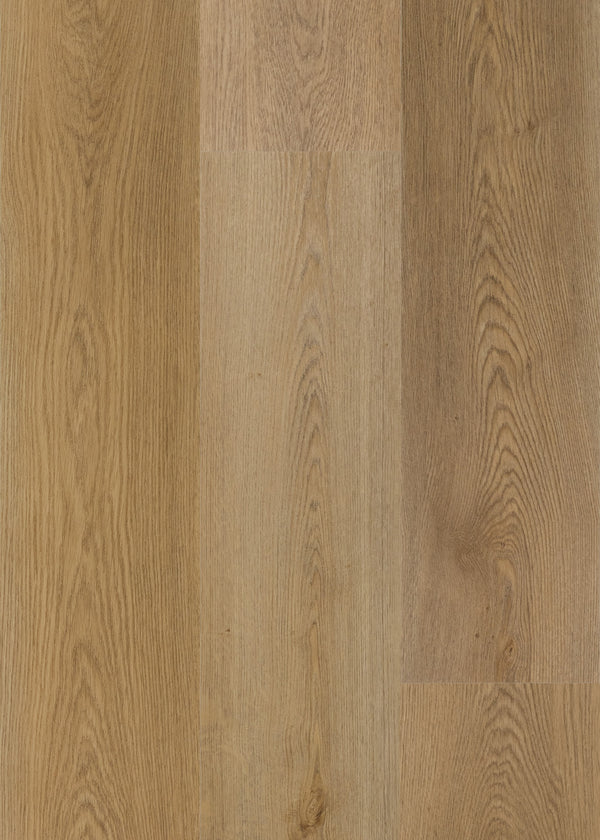 Daltile Asher Bend Manor 9x71 rigid click plank
