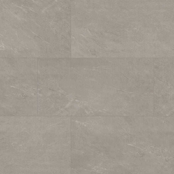 ELBE ASH 24X48 LAPPATO 3D