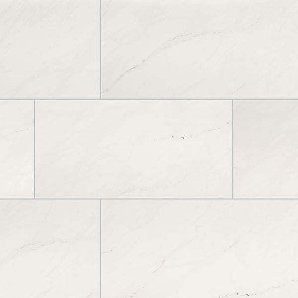 ARIA ICE 12X24 POLISHED