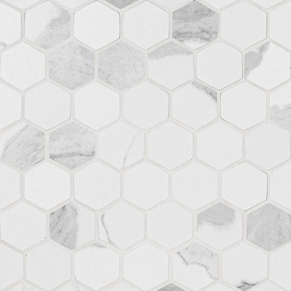 EDEN STATUARY 2X2 HEX MATTE MOSAIC