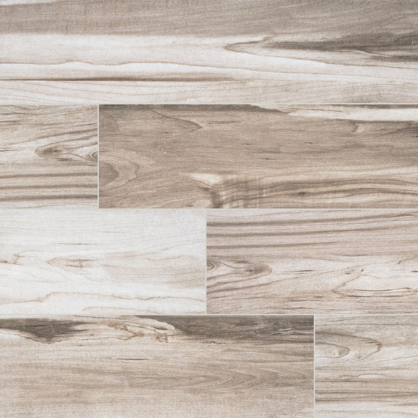 CAROLINA TIMBER WHITE 6X24 MATTE