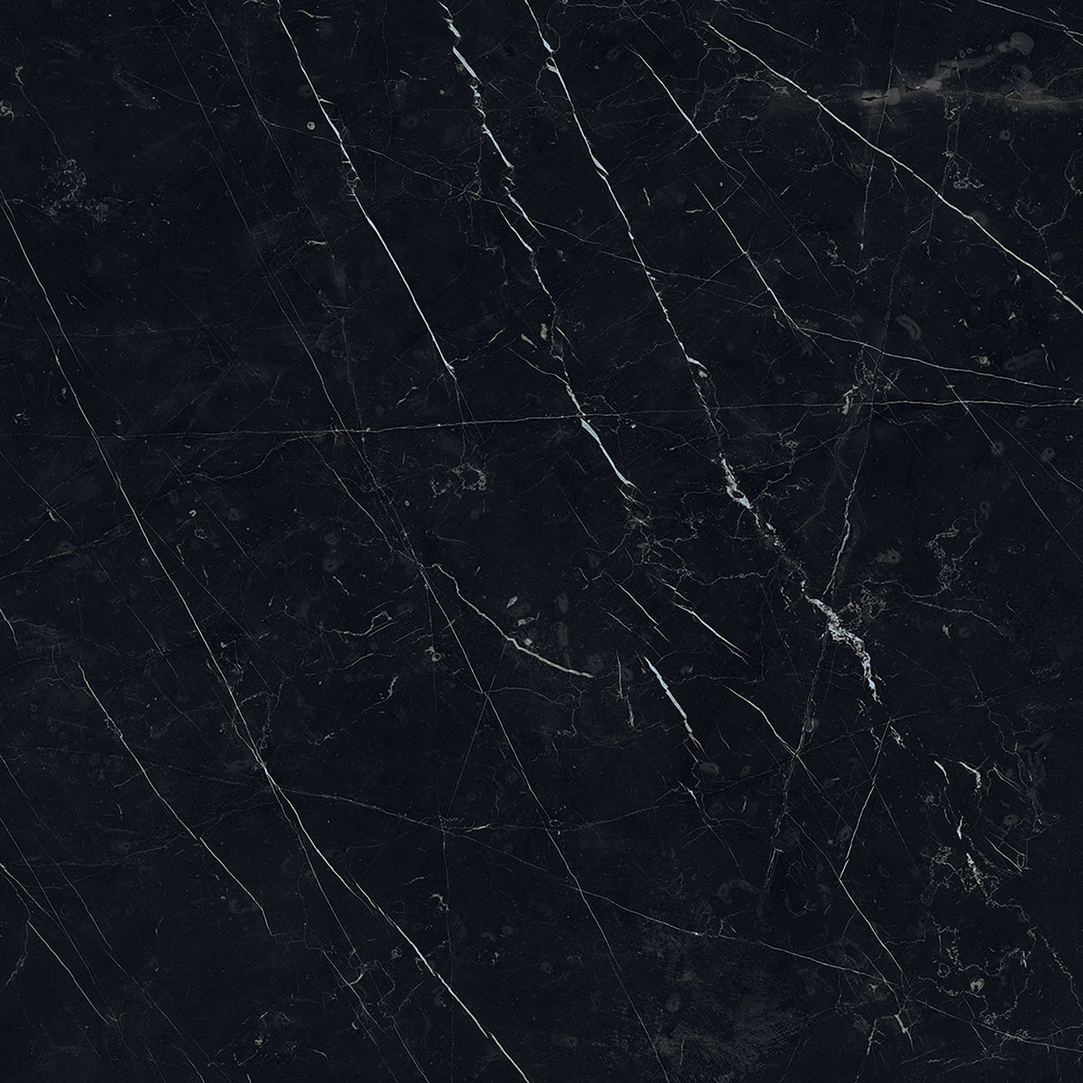 Bedrosians Magnifica The Thirties 30" x 30" - 8mm Honed Porcelain Tile in Nero Marquina | Item Code 100001001