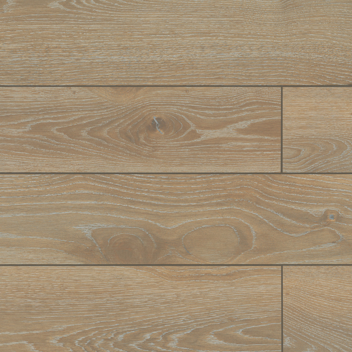 Bedrosians Timberline 10" x 72" Honed Porcelain Wood-Look Field Tile in Oak | Item Code 100002792