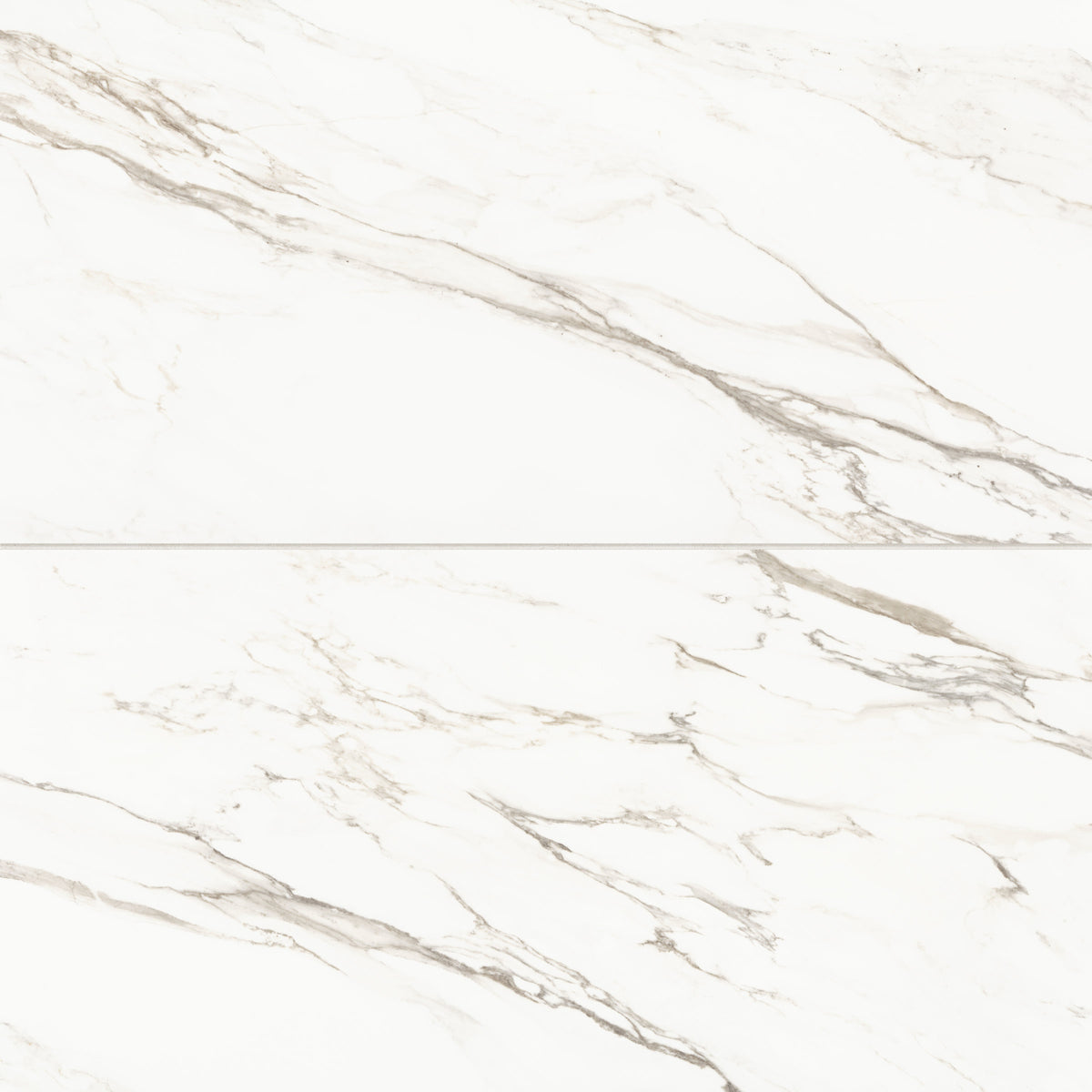 Bedrosians Prati 24" x 48" Honed Porcelain Field Tile in Calacatta Borghini Warm | Item Code 100003511