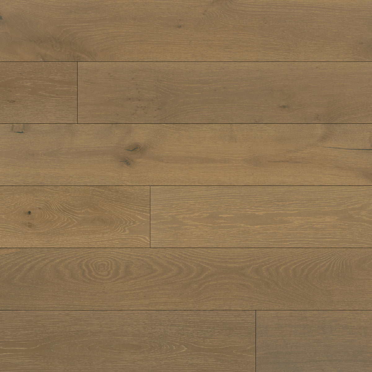 Bedrosians Newport 7.5" x 75" Engineered Hardwood Plank in Otter | Item Code 100005128