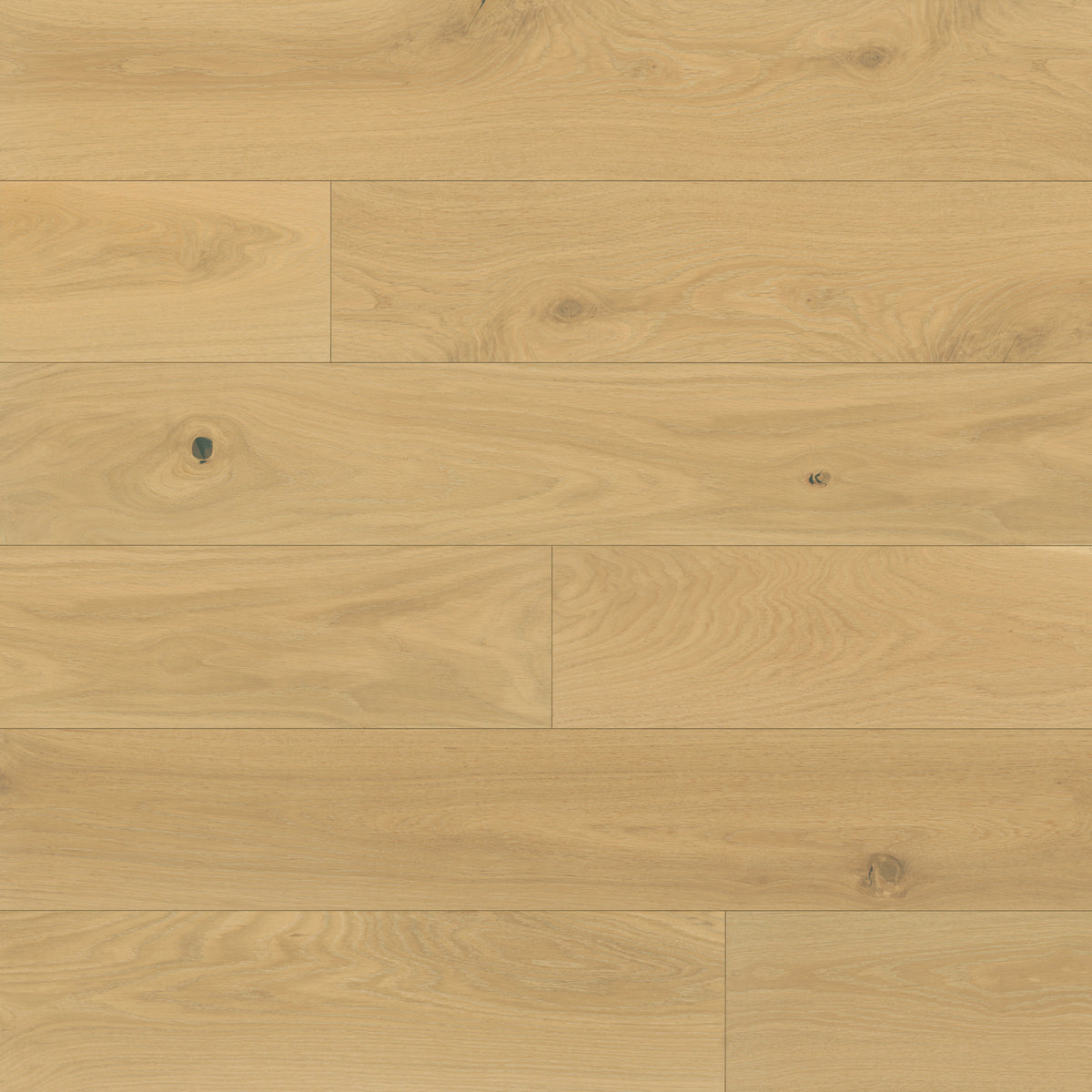 Bedrosians Newport 7.5" x 75" Engineered Hardwood Plank in Beach | Item Code 100005131
