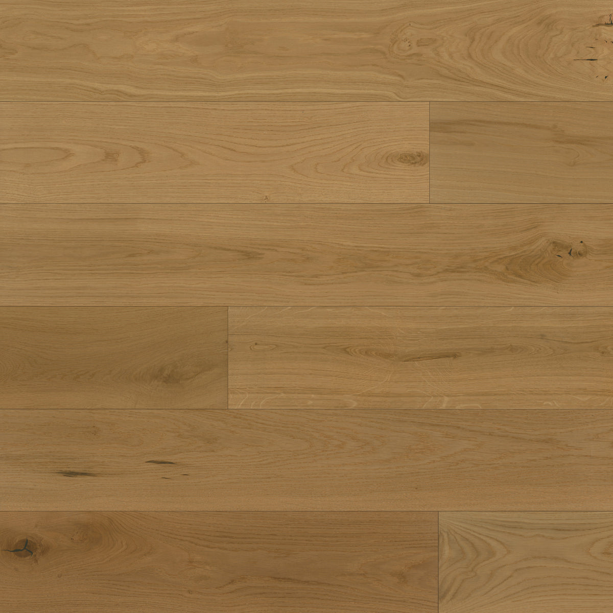 Bedrosians Newport 7.5" x 75" Engineered Hardwood Plank in Dune | Item Code 100005133