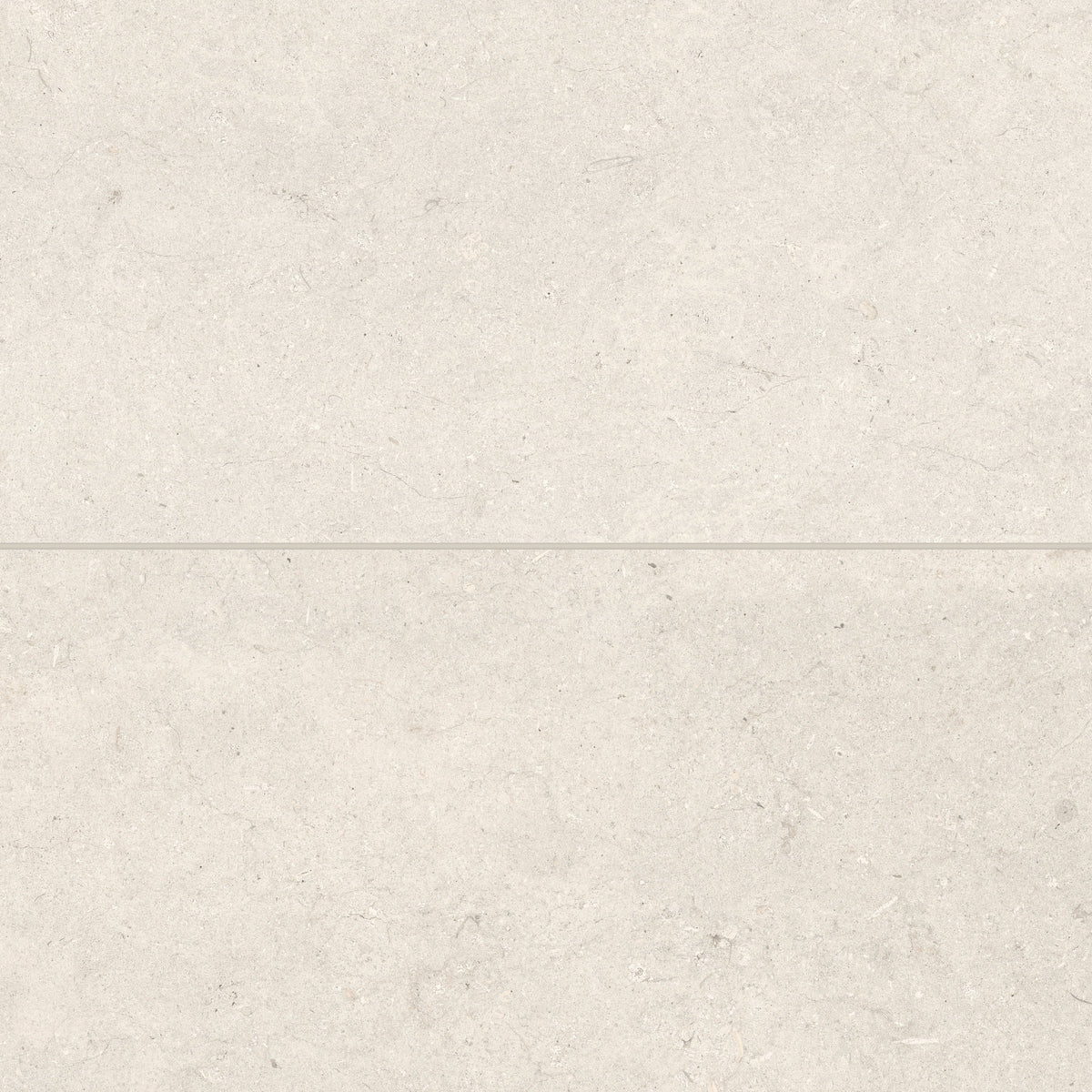 Bedrosians Poetry Stone 24" x 48" Matte Porcelain Field Tile in Ivory | Item Code 100005403