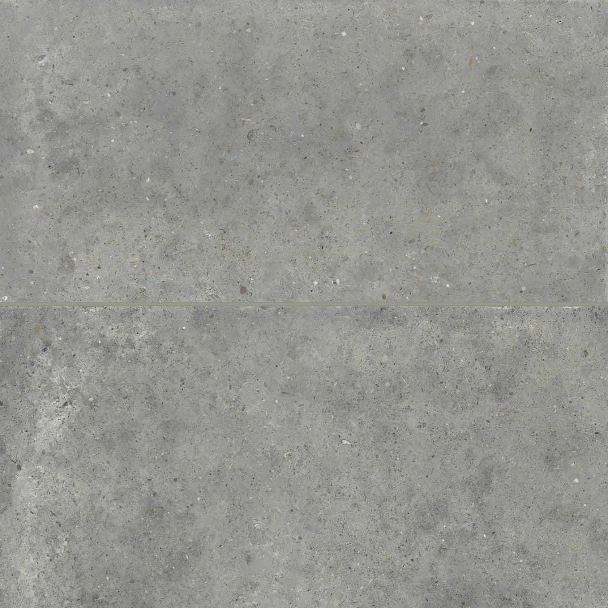 Bedrosians Poetry Stone 24" x 48" Matte Porcelain Field Tile in Grey | Item Code 100005406
