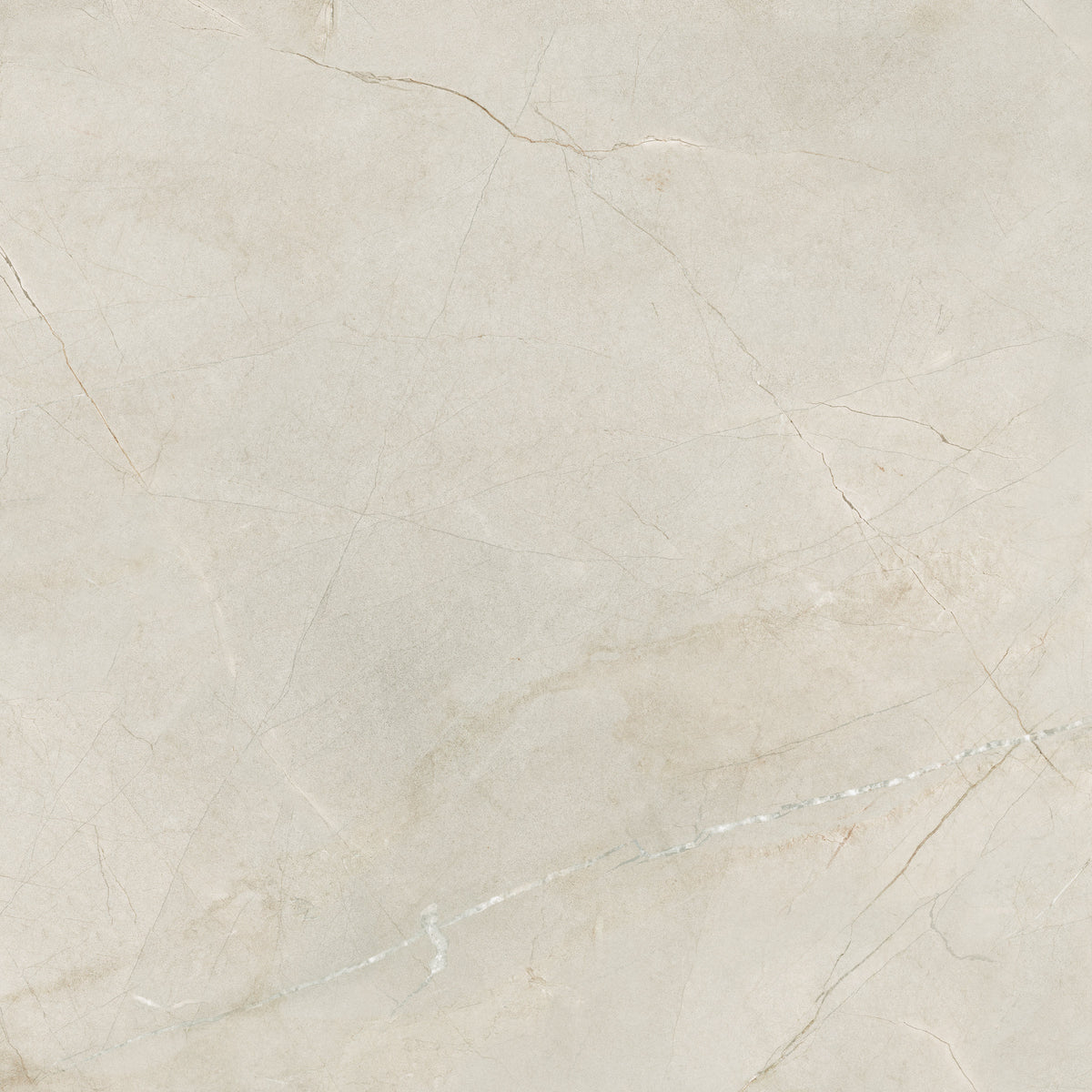 Bedrosians Crema Marfil 48" x 48" Polished Porcelain Field Tile | Item Code 100005418