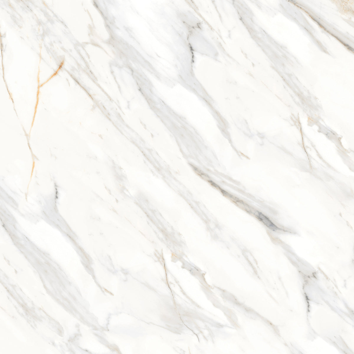 Bedrosians Shandar 48" x 48" Matte Porcelain Field Tile in Arezzo Bianco | Item Code 100005441