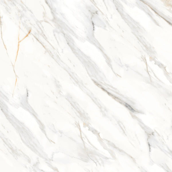 Bedrosians Shandar 48" x 48" Matte Porcelain Field Tile in Arezzo Bianco | Item Code 100005441
