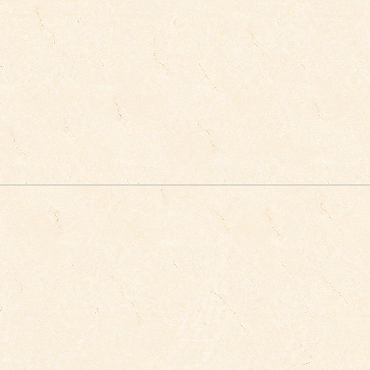 Bedrosians Shandar 24" x 48" Polished Porcelain Field Tile in Crema Marfil | Item Code 100005451