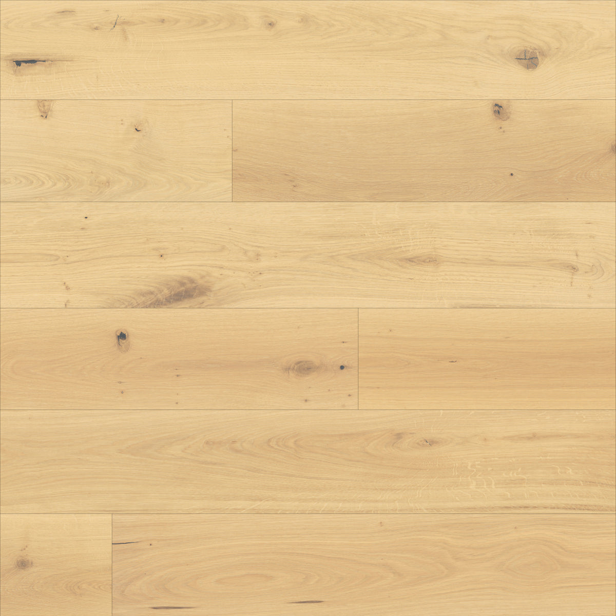 Bedrosians Bordeaux 7.5" x 75" Engineered Hardwood Plank in Naturale | Item Code 100006774