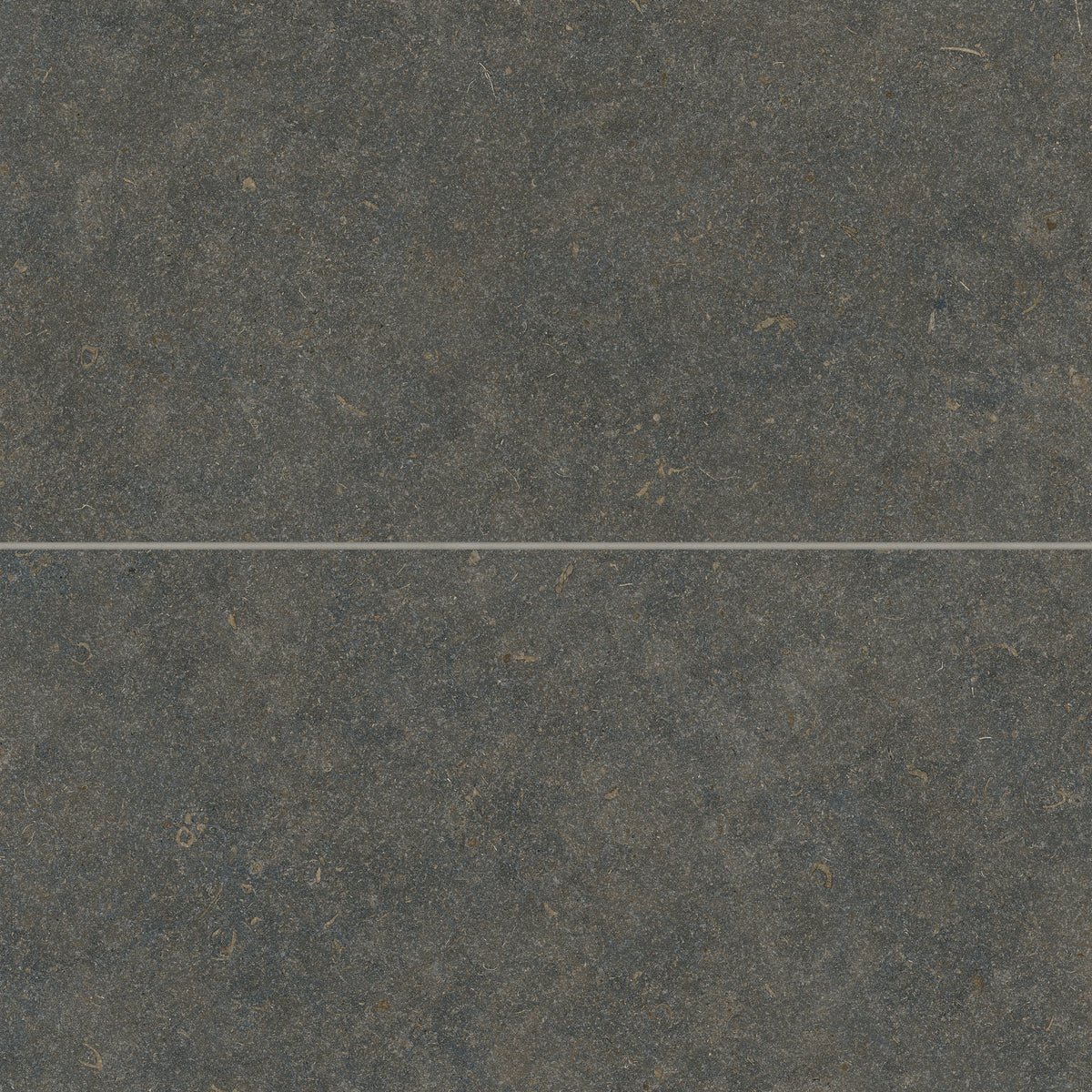 Bedrosians Oda 24" x 48" Soft Textured Matte Porcelain Tile in Classic | Item Code 100008725