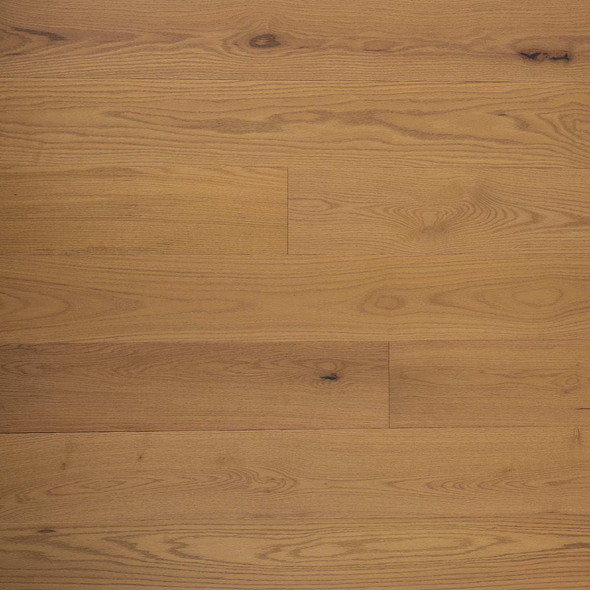 Bedrosians Branche 7.5" x 75" - 3mm Engineered Wood in Café | Item Code 100010480