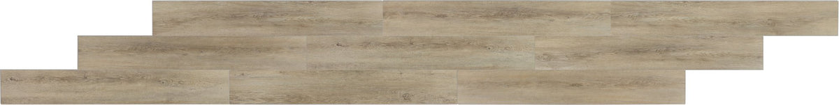 Daltile Bellamy Place Garden, V4IN1, 4-IN-1, SuperGuard Technology | Daltile SKU BP11279V4IN1SX