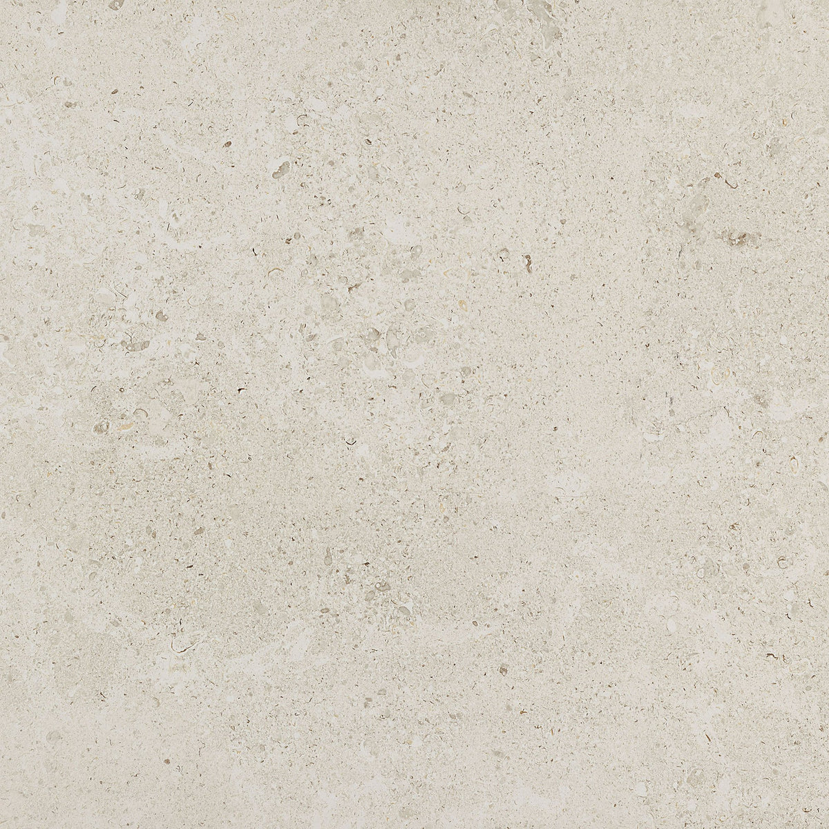 Daltile Dignitary Luminary White, Square, 24X24, Matte | Daltile SKU DR0724241PK
