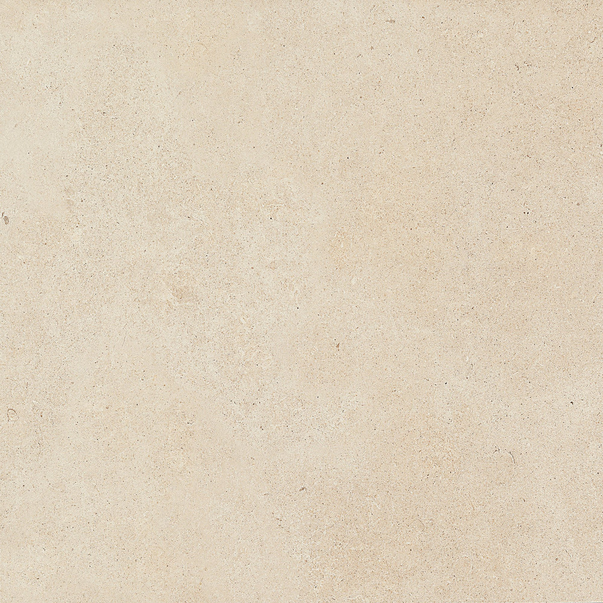 Daltile Haut Monde Nobility White, Square, 12X12, Matte | Daltile SKU HM0812121PK