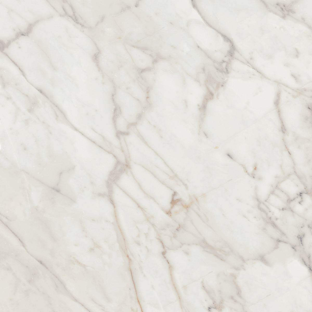 Daltile Marble Attache Lavish Golden Reverie, Square, 24X24, Matte | Daltile SKU MA71SQU2424MT