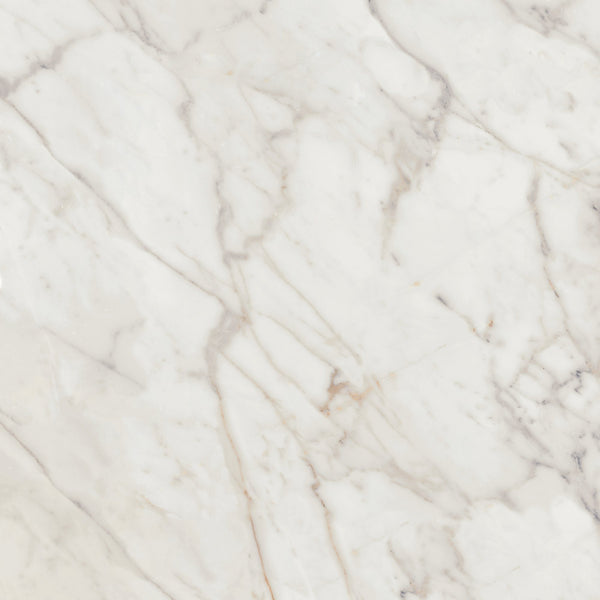 Daltile Marble Attache Lavish Golden Reverie, Square, 24X24, Matte | Daltile SKU MA71SQU2424MT