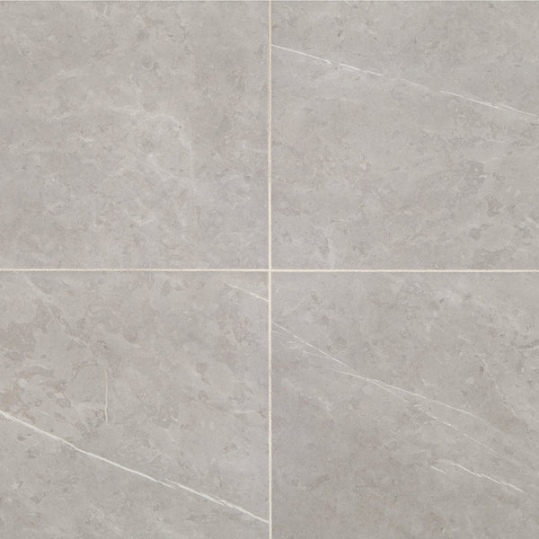 Daltile Prime Stamina Grey, Square, 12X12, Matte | Daltile SKU RL23SQ1212VMT