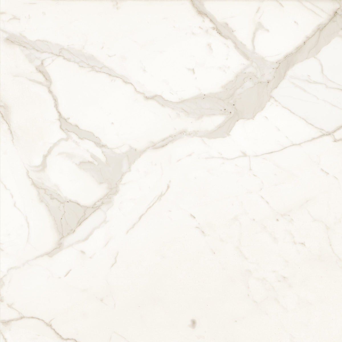 Bedrosians Magnifica The Thirties 30" x 30" - 8mm Honed Porcelain Tile in Calacatta Super White | Item Code DOLMAGCAL3030-8H