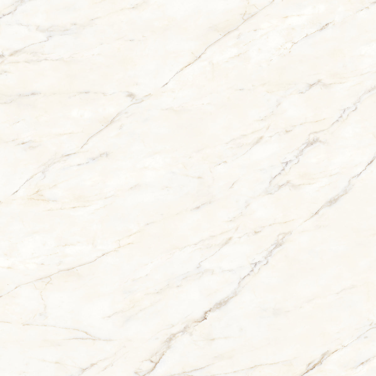 Bedrosians Magnifica The Thirties 30" x 30" - 8mm Honed Porcelain Tile in Calacatta Oro | Item Code DOLMAGORO3030-8H