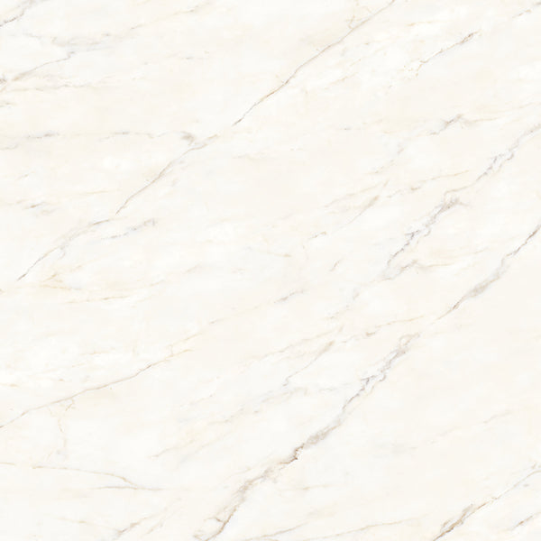 Bedrosians Magnifica The Thirties 30" x 30" - 8mm Honed Porcelain Tile in Calacatta Oro | Item Code DOLMAGORO3030-8H