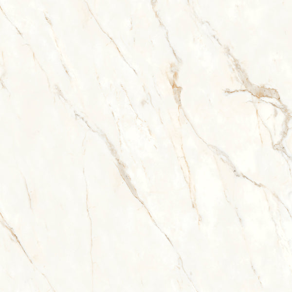 Bedrosians Magnifica Nineteen Forty-Eight 48" x 48" - 8mm Honed Porcelain Tile in Calacatta Oro | Item Code DOLMAGORO4848-8H