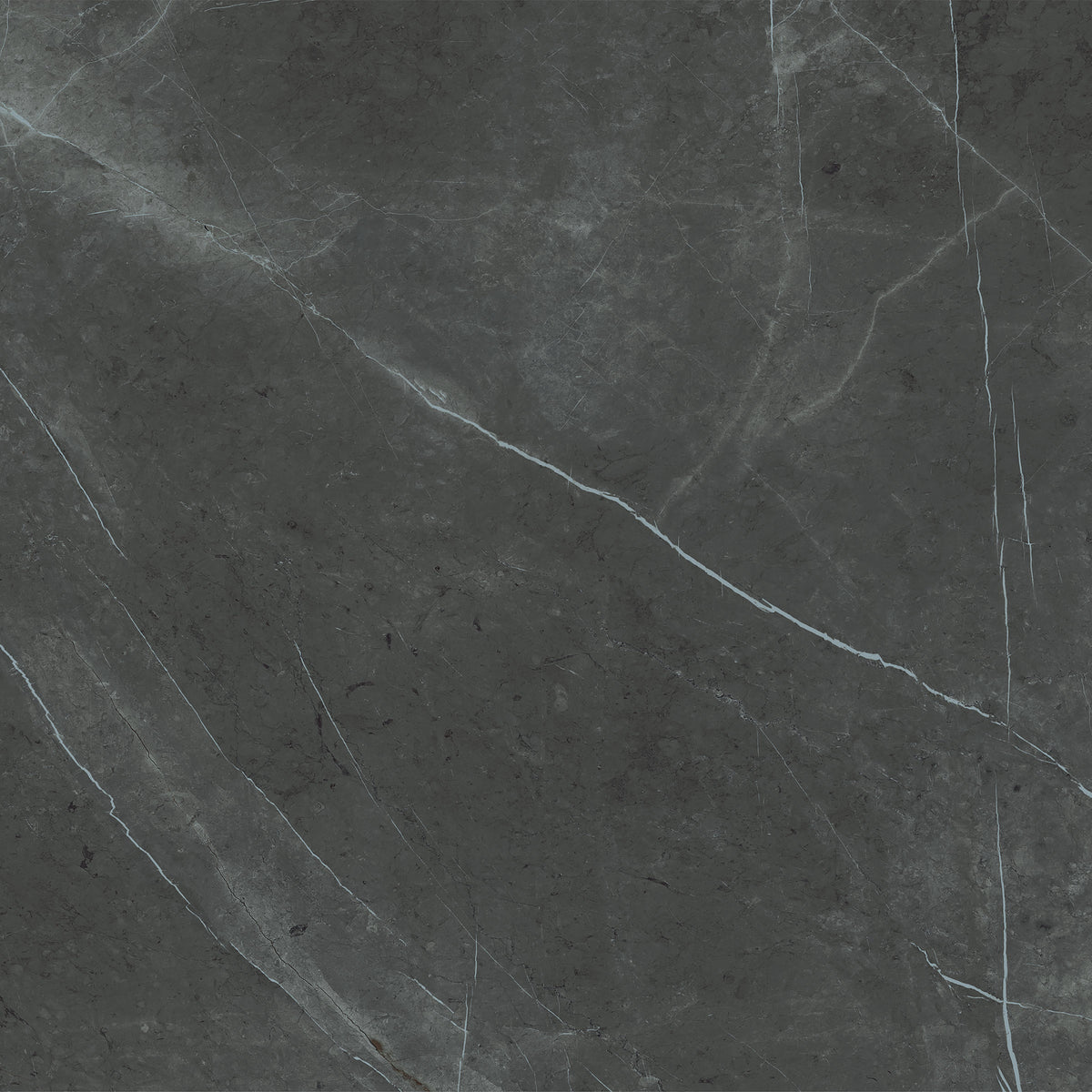 Bedrosians Magnifica The Thirties 30" x 30" - 8mm Honed Porcelain Tile in Pietra Grey | Item Code DOLMAGPIE3030-8H