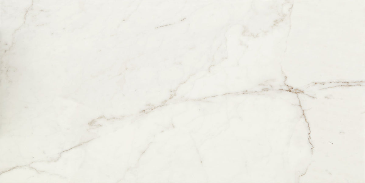 Daltile Classentino Marble Palazzo White, Rectangle, 24X48, Polished | Daltile SKU CT30RCT2448APL