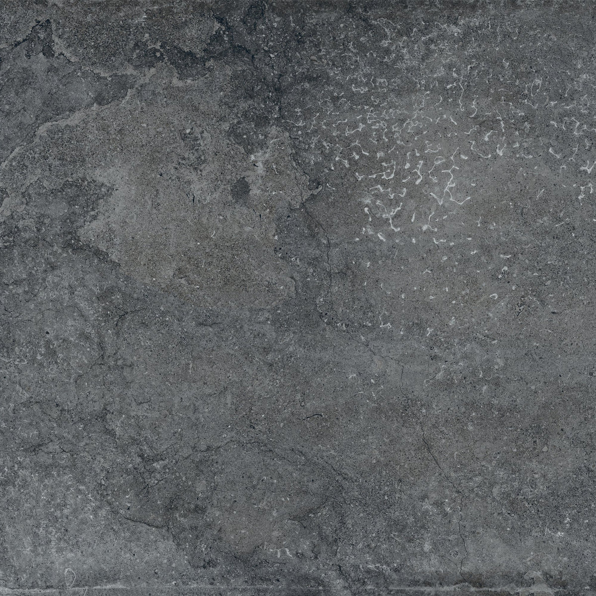 Marazzi Creativo Carbon, Square, Chiseled, 24X24, Matte | SKU CV4324241P