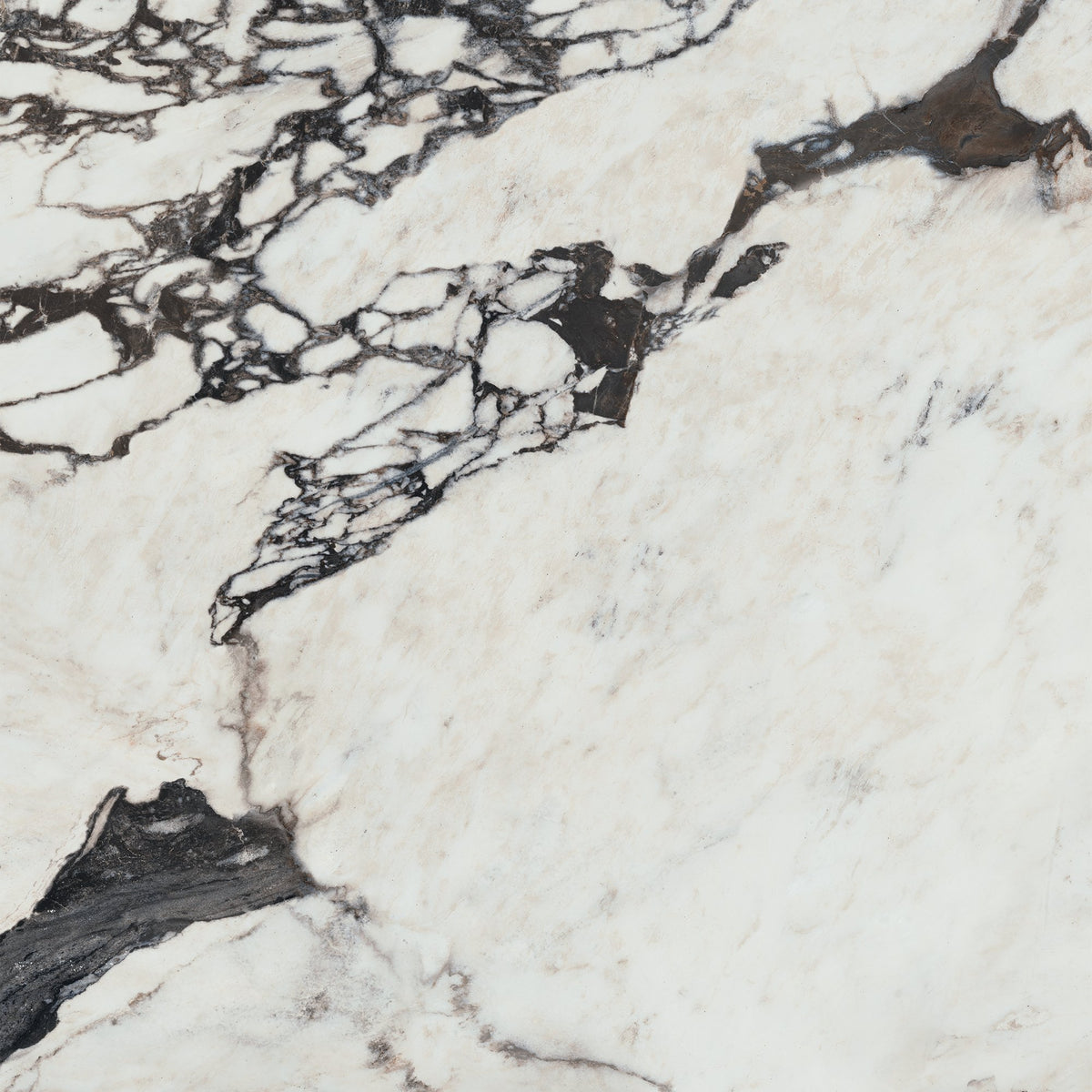 Marazzi Editorial Bardot Noir, Square, 24X24, Polished | SKU ED72SQU2424PL