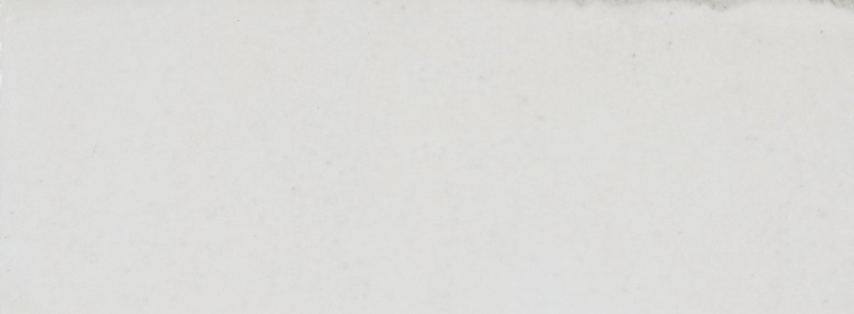 Marazzi Rice Bianco, Rectangle, 3X8, Glossy | SKU RC20RCT38GL