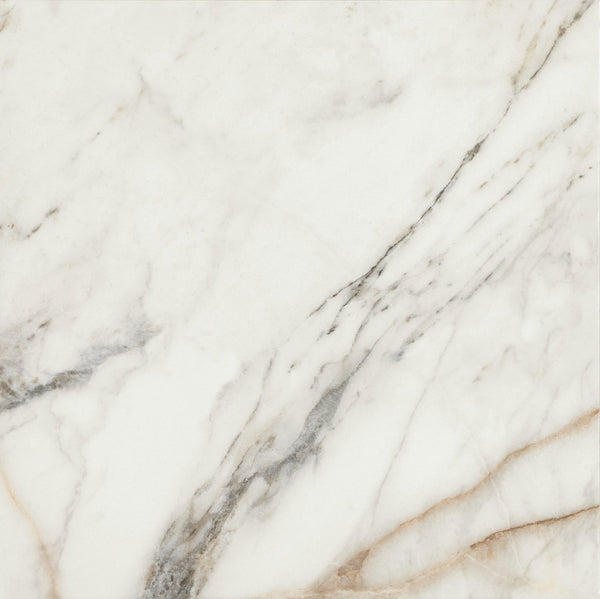 Marazzi Savoir Cafe, Square, 24X24, Matte | SKU SV11SQU2424MT