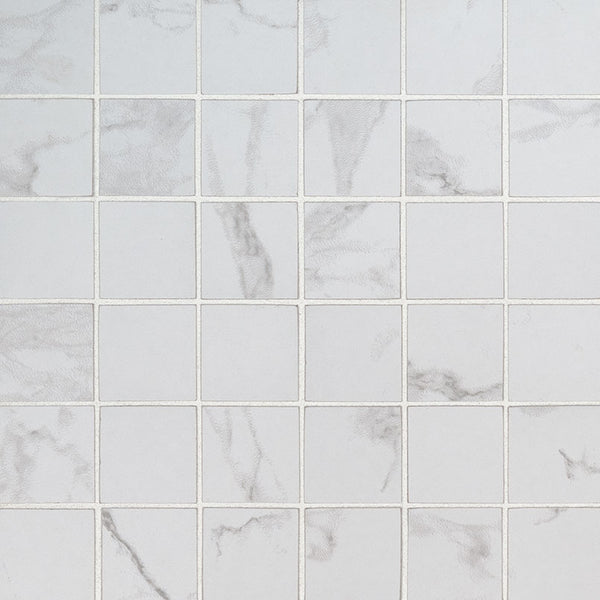 PRAIA CARRARA 2X2 MOSAIC MATTE