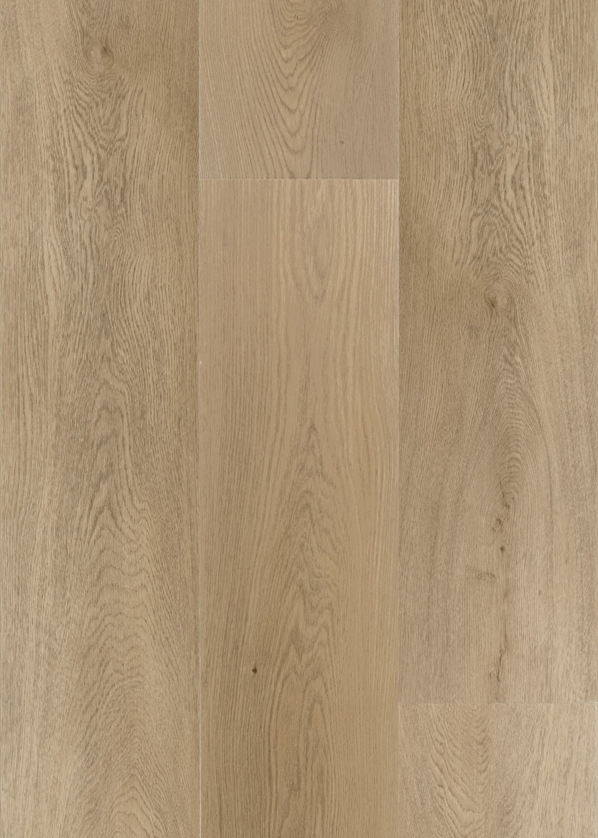 Daltile Asher Bend Hearth 9x71 glue down plank